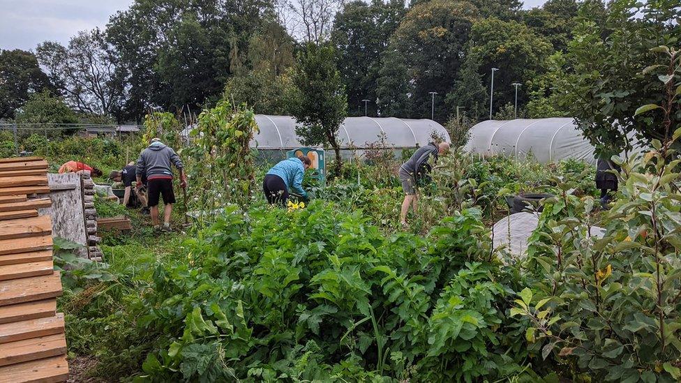 An allotment