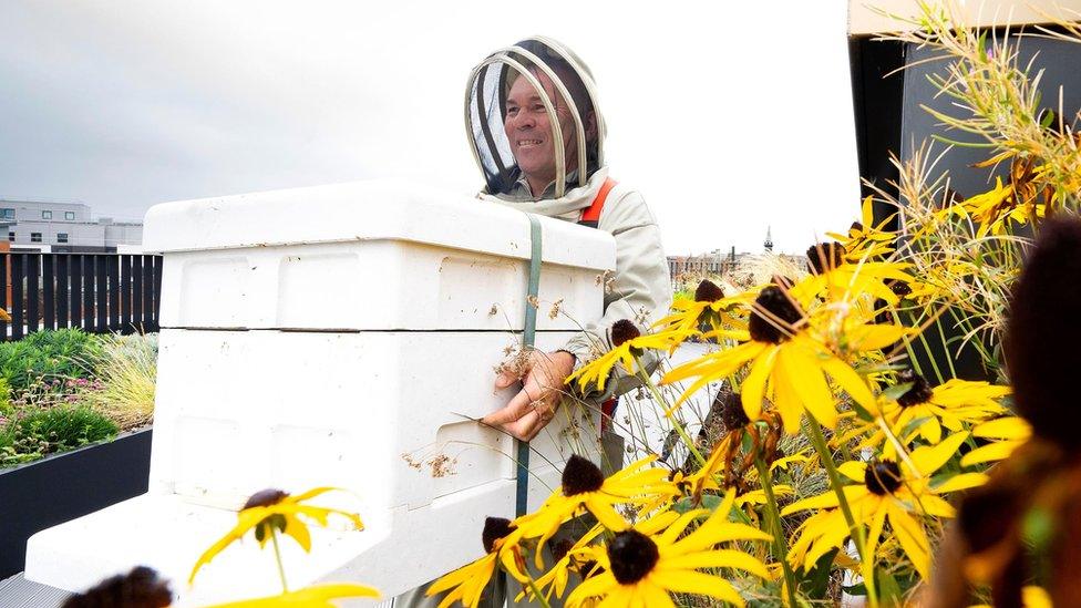 Beekeeper with bees on roof