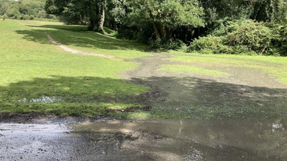 Sewage spill at New Forest