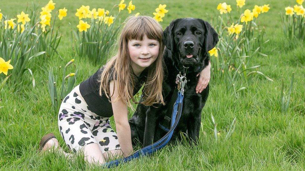 Girl and dog on the grass