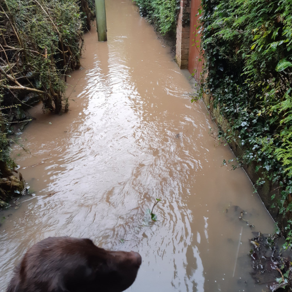 Flooded lane