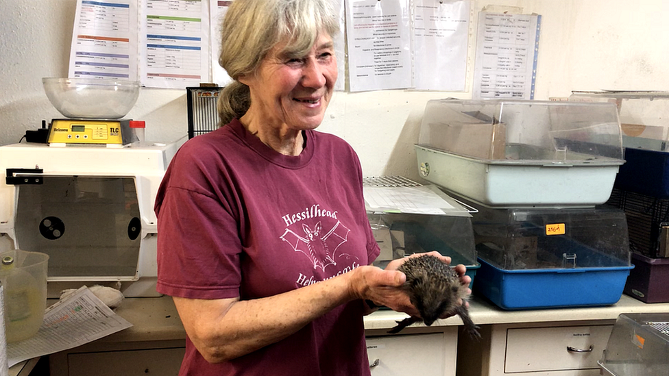 Gaynor holding a hedgehog