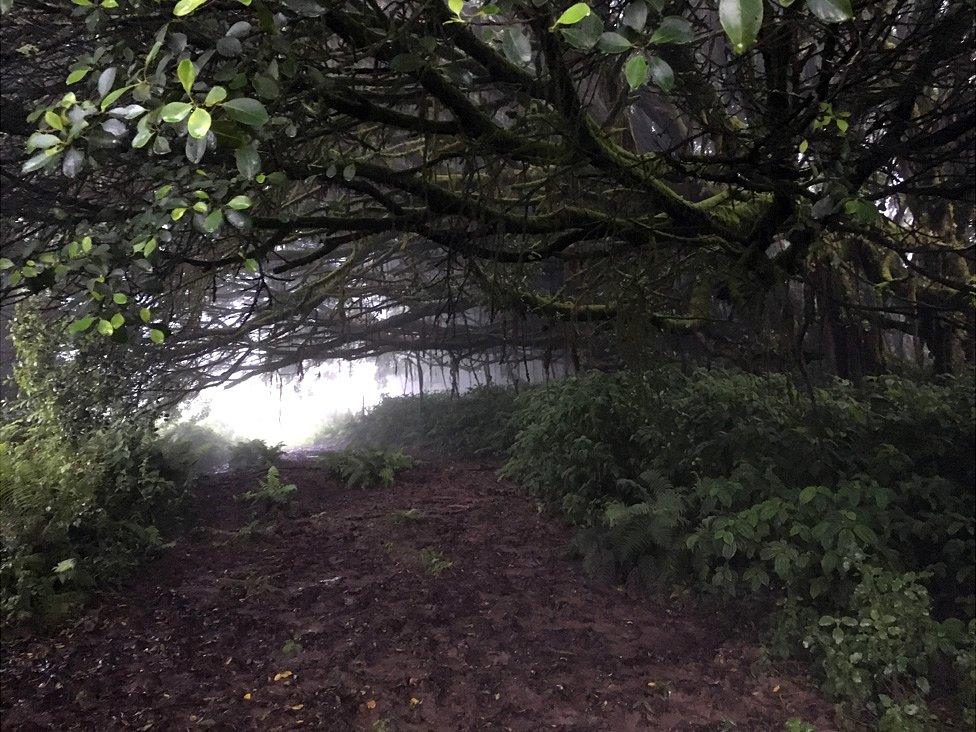 Ascension Island