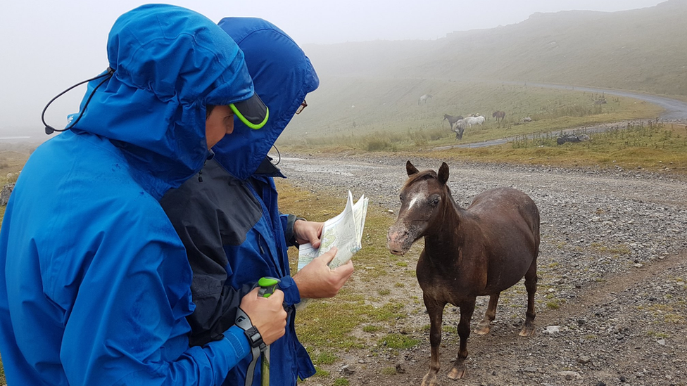 Mike and Matt looking at a map with a horse in the background