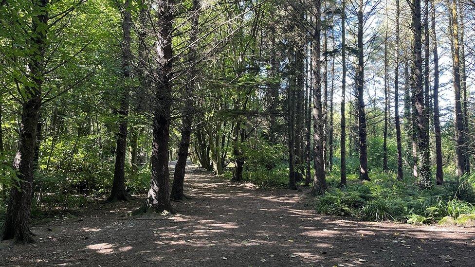 Coedwig Parc Arfordirol Penrhos