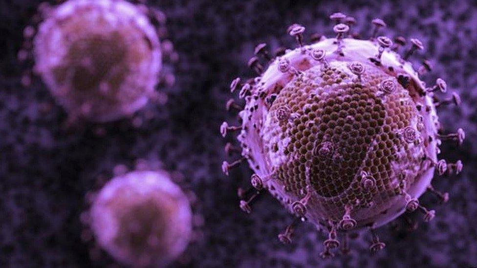 HIV-infected cells