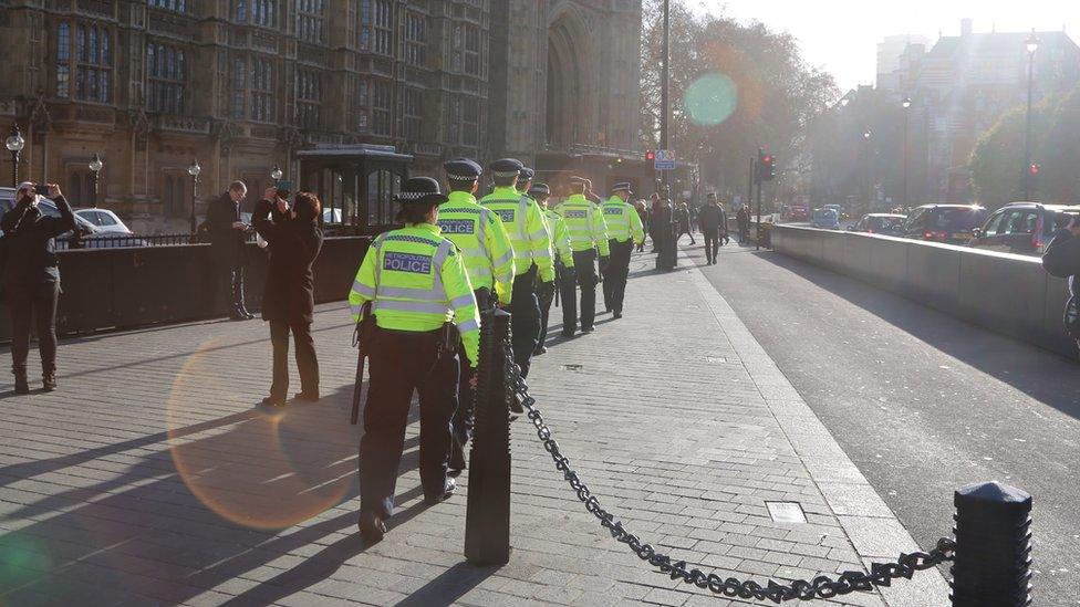 Police officers outside parliament