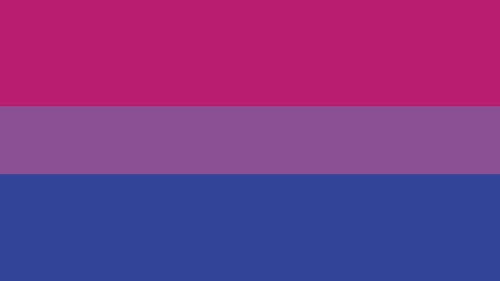 Image of the bisexual pride flag with three horizontal stripes of pink, purple and blue