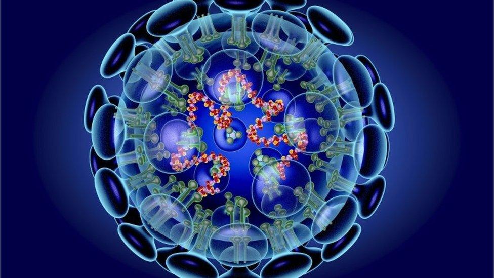 Illustration showing the structure of the coronavirus