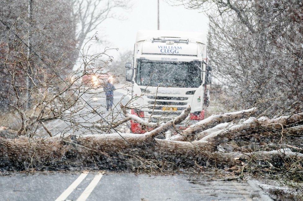 A fallen tree blocks the A702 near Coulter in South Lanarkshire