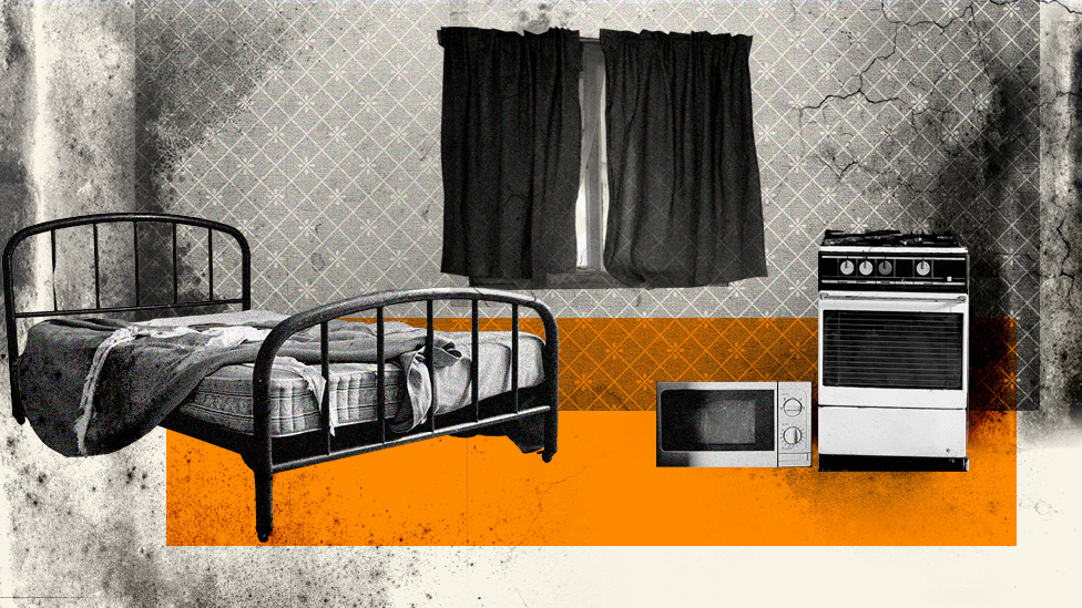 An illustration of a studio flat Lorna viewed with a bed, mouldy wallpaper and a microwave on the floor