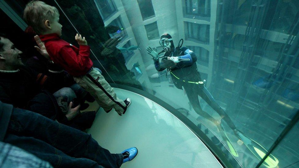 The aquarium had a clear-walled lift built inside it