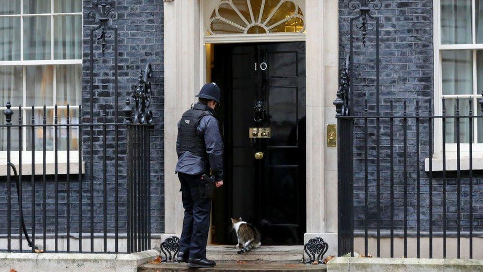 police officer lets in larry the cat to number 10 downing street