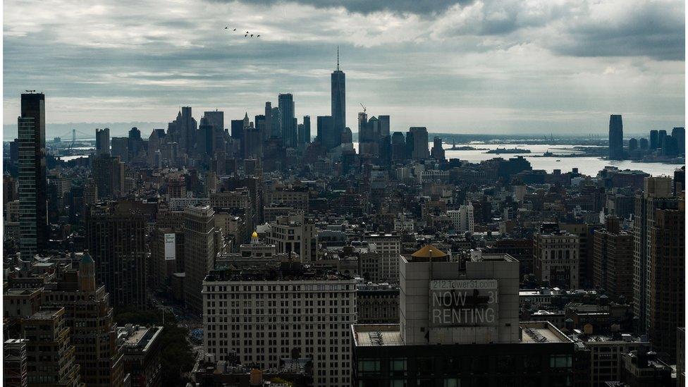 A flock of birds fly over the skyline in New York on October 11, 2017.