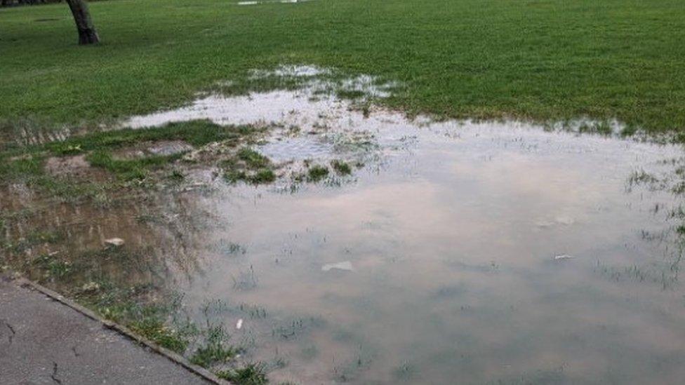 Sewage water on grass, St Ives, February 2024