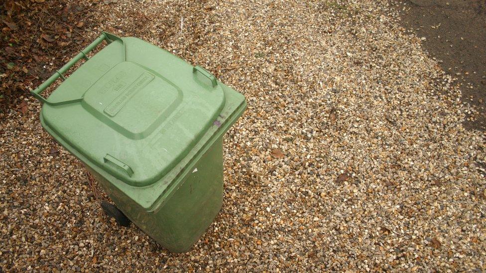 Green bin