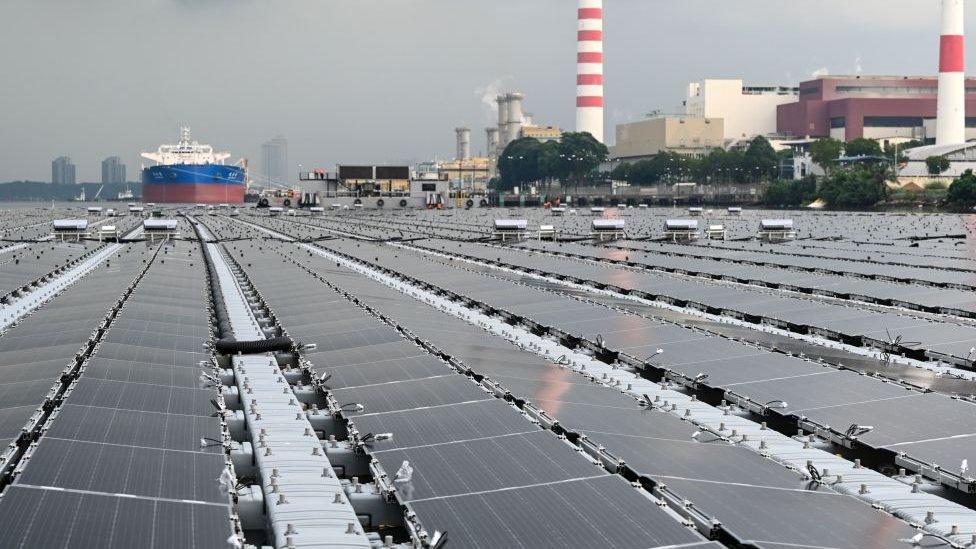 Solar panel farm