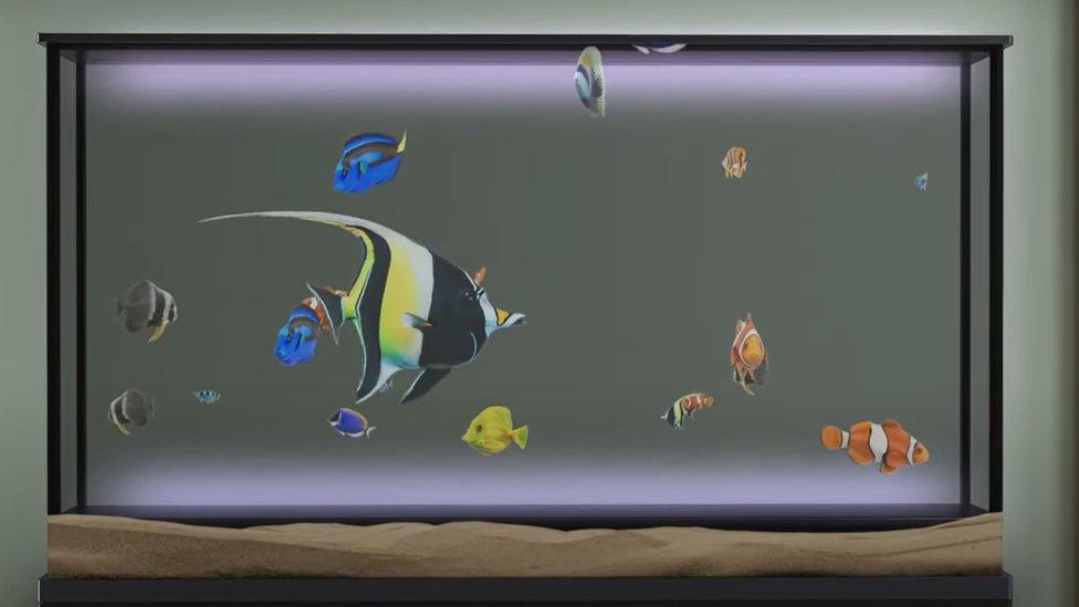 Transparent TV displaying a fish tank.