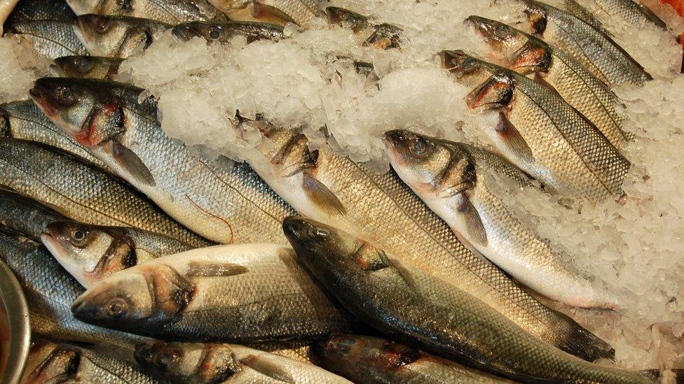 Welsh sea bass stocks could face collapse