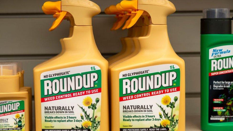 Roundup on shelves