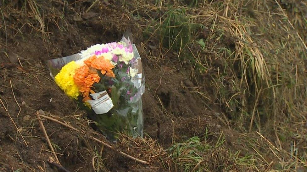 Flowers on side of road in Gwynedd