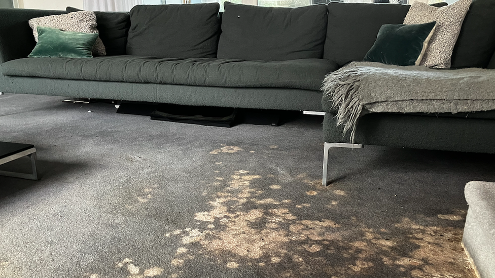 Mouldy carpets