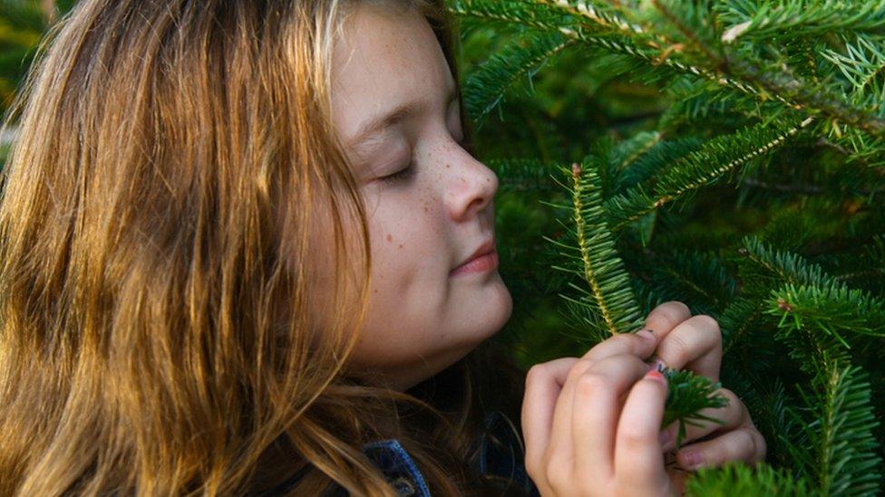 girl smelling tree