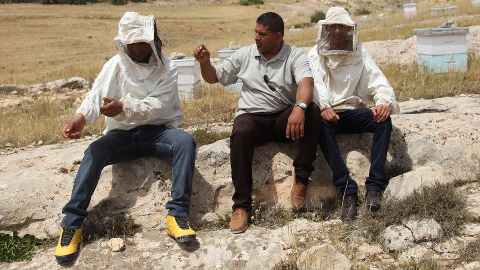 The TuniBee scheme has started with three beekeepers