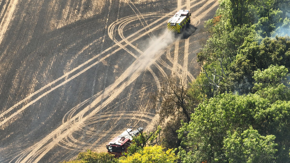 A field fire in Broomfield, Essex