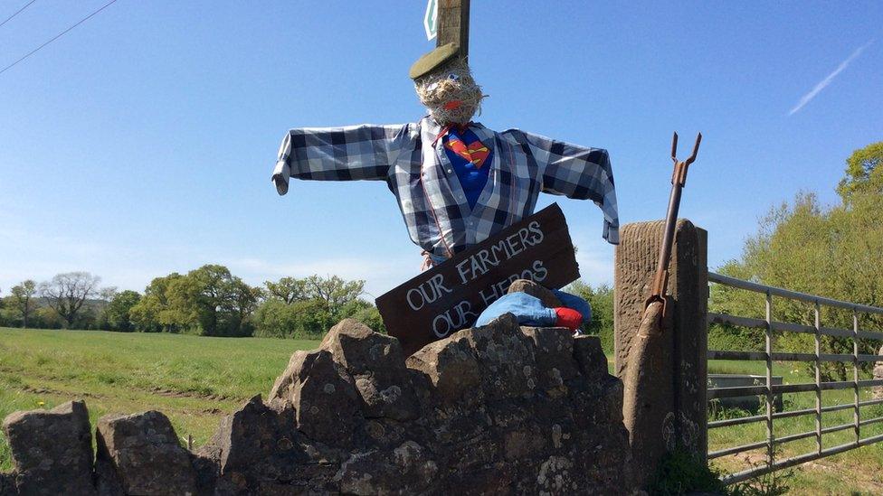 Farmer scarecrow