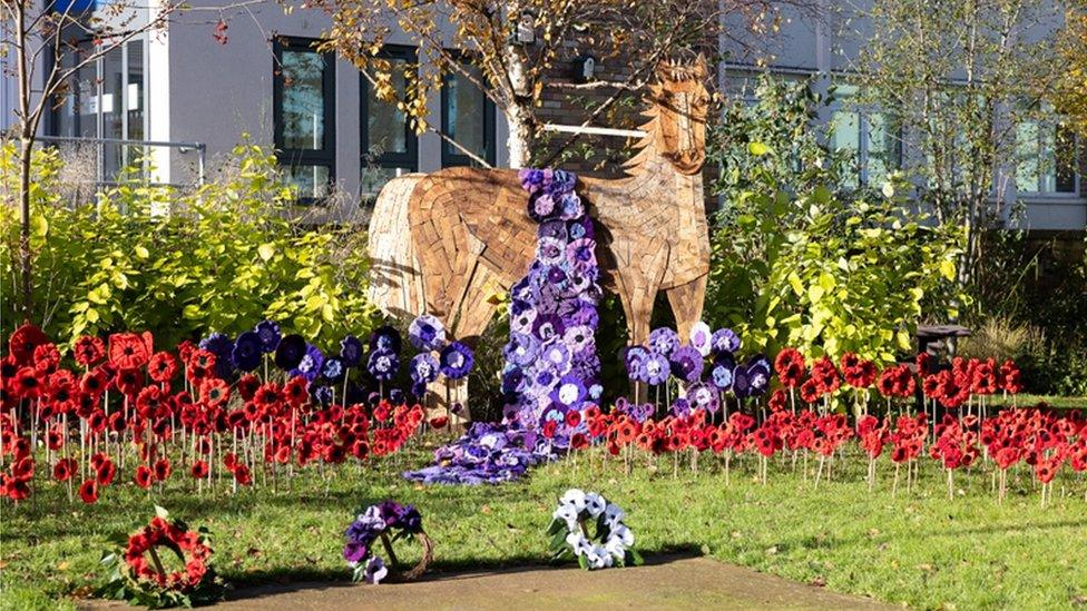 Poppies and life-size display