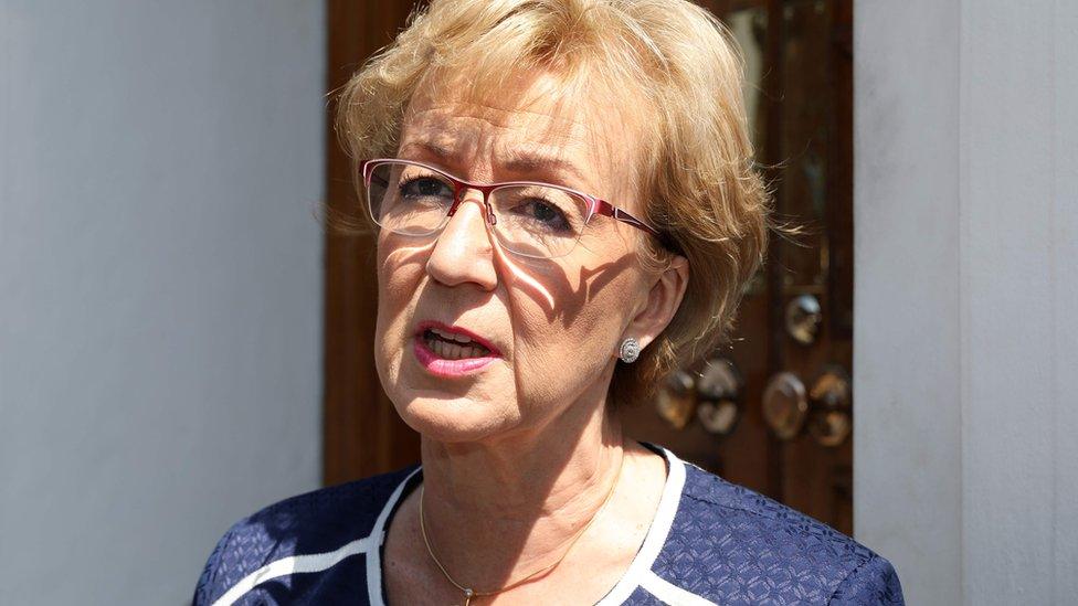 Andrea Leadsom