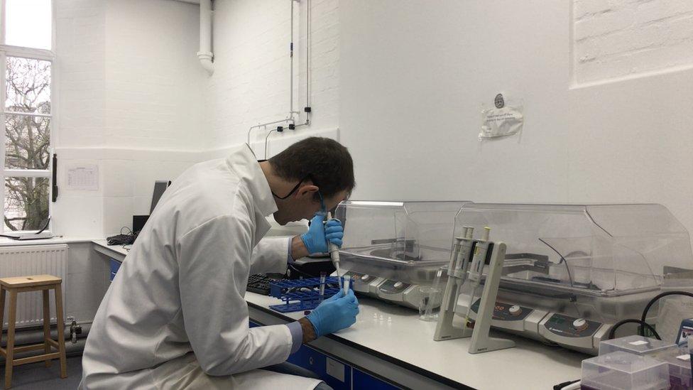 Dr Niek Buurma working in a chemistry lab