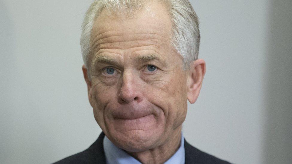 Peter Navarro