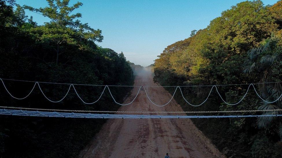 Highway canopy