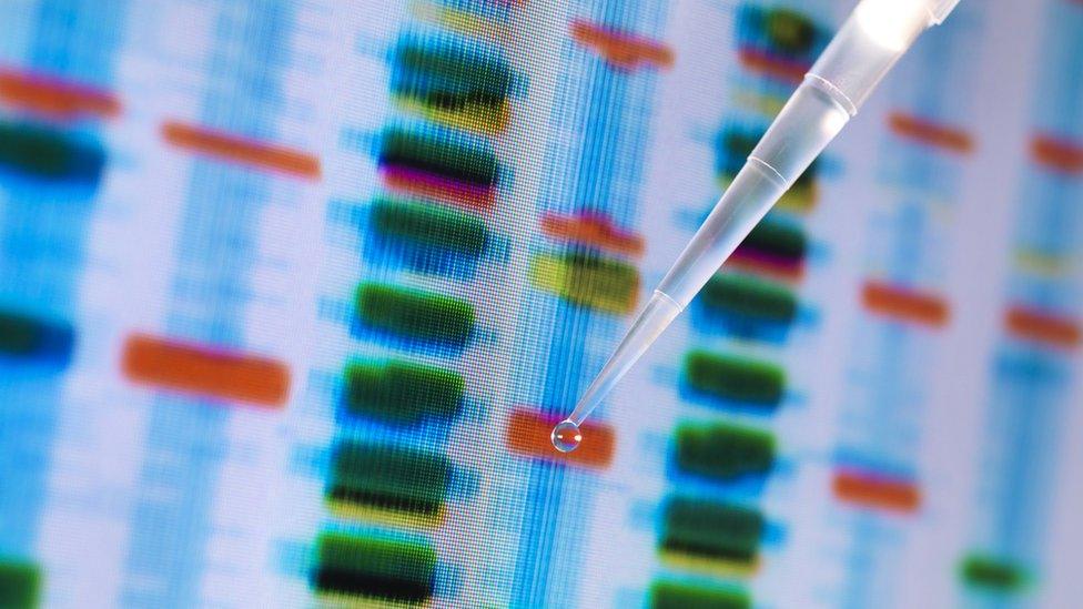 DNA sample on a computer screen in a lab