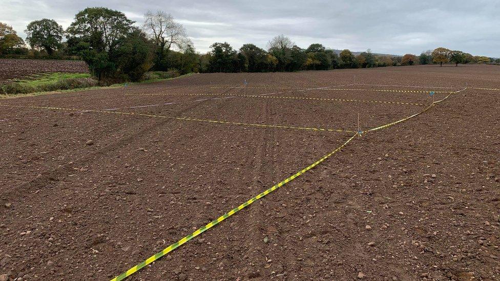 The field in Rossett where the discovery was made