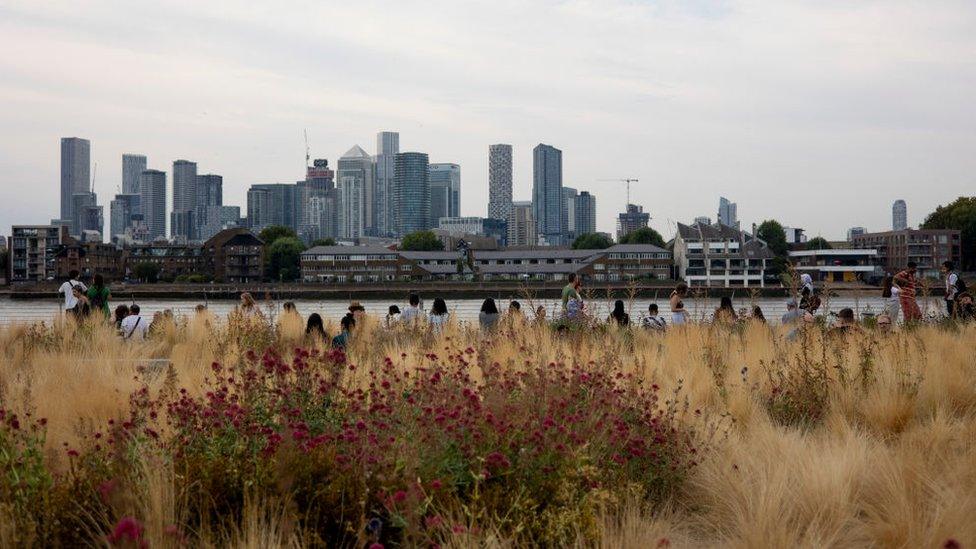 people look out across the thames at london with tall yellow grass behind them