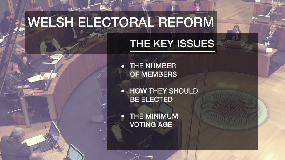 Electoral reform graphic