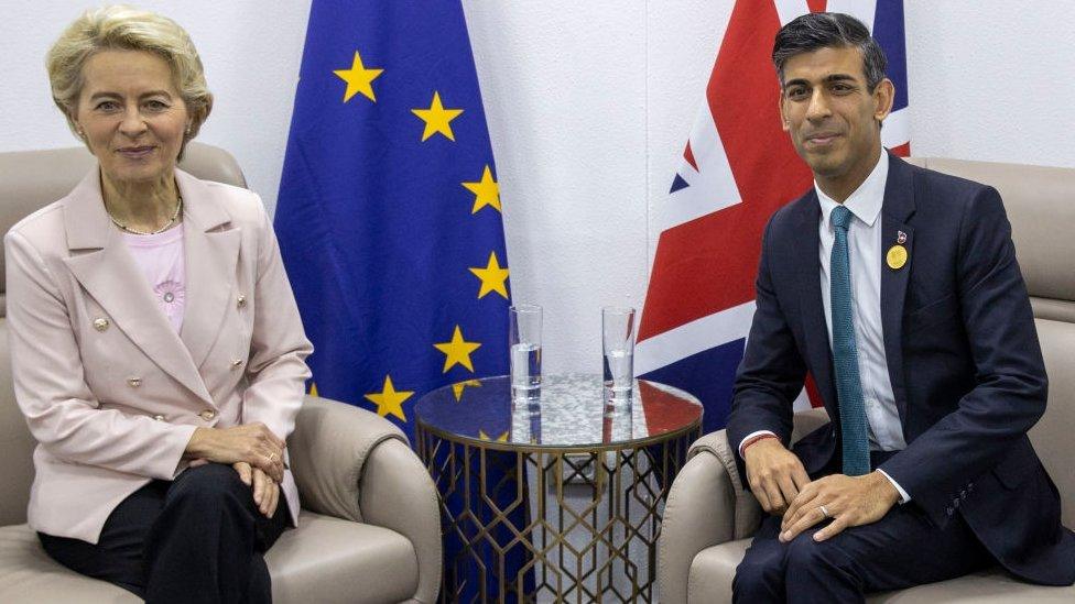 European Commission President Ursula von der Leyen and British Prime Minister Rishi Sunak