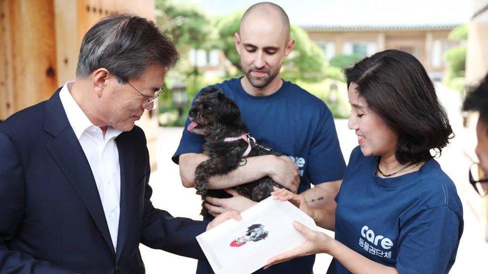 President Moon of South Korea receives his new dog Tory at the CARE animal sanctuary