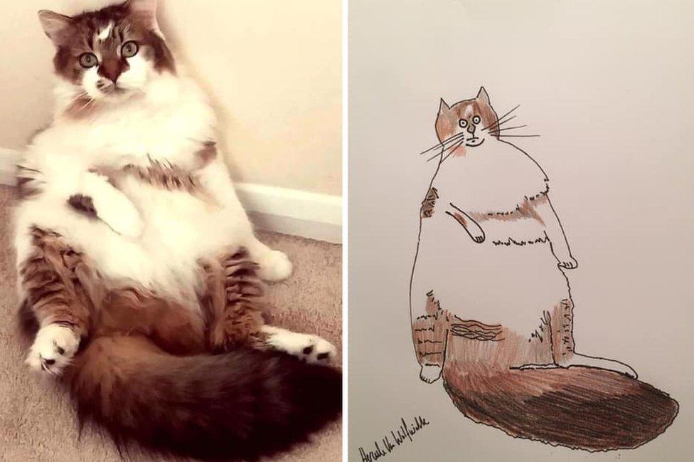 Cartoon of a cat