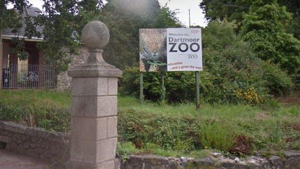 Dartmoor Zoo