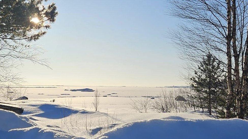 Arctic landscape