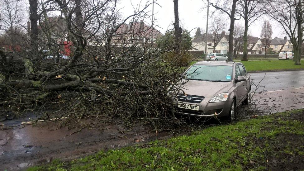 An uprooted tree blocks Aigburth Road in Liverpool