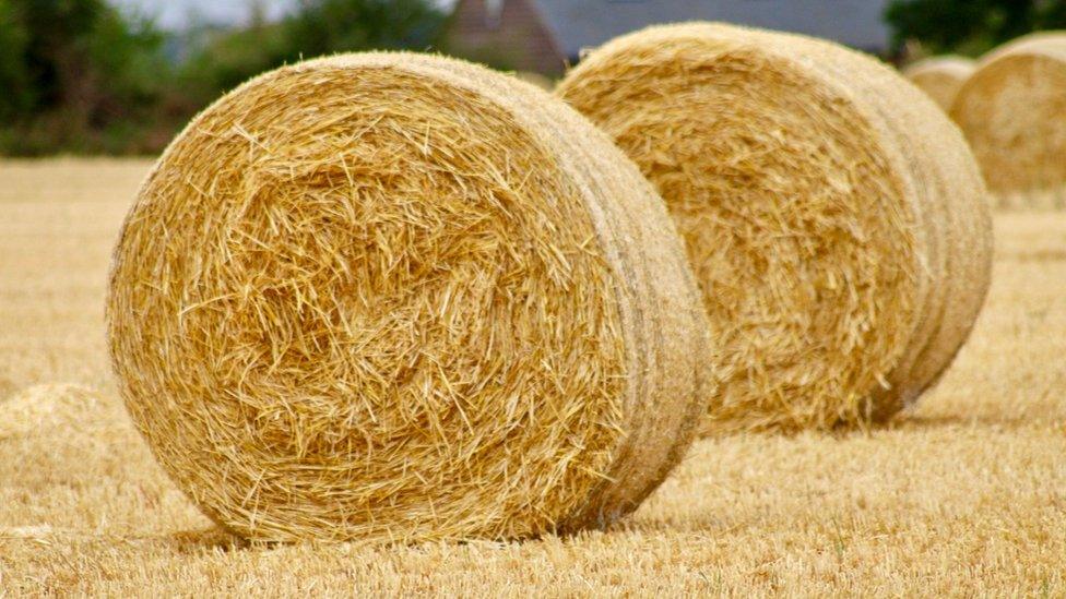 Hay bales in Abingdon