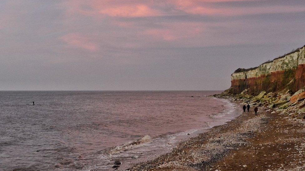 Whale at Hunstanton