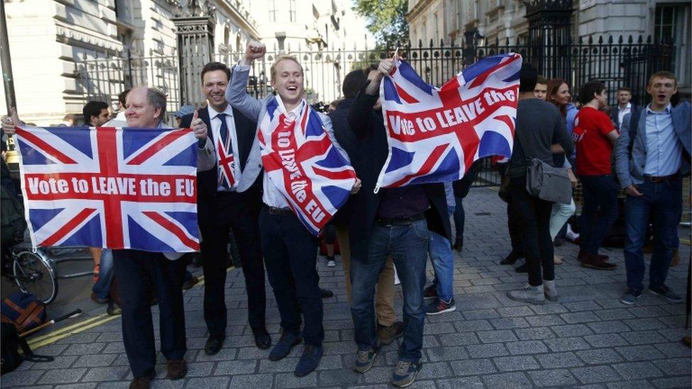 Vote Leave campaigners