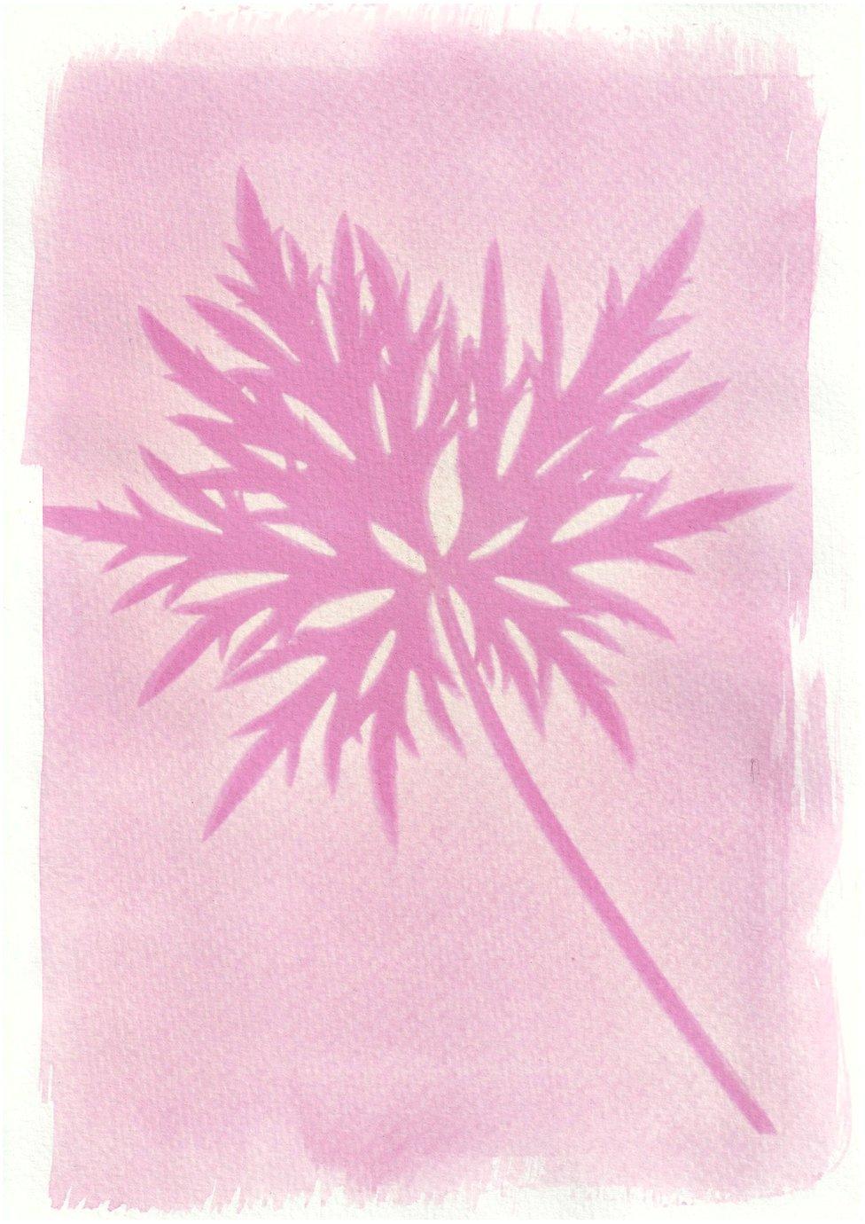 An anthotype print of a large purple leaf