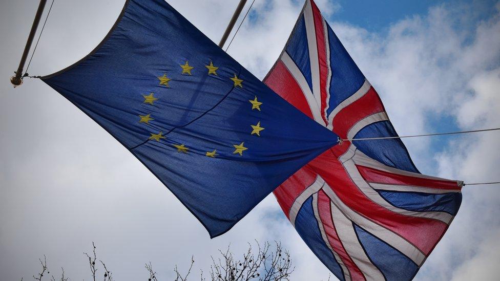 EU and EU flags flying